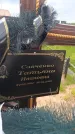 Захоронение ID 6388169