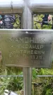 Захоронение ID 6388269