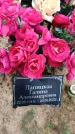 Захоронение ID 6388295