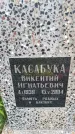Захоронение ID 6388313