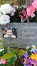 Захоронение ID 6388338