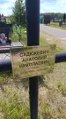 Захоронение ID 6388374