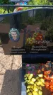 Захоронение ID 6388406