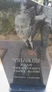 Захоронение ID 6388466