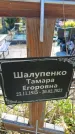Захоронение ID 6388642