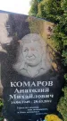 Захоронение ID 6388654