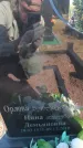 Захоронение ID 6388849