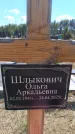 Захоронение ID 6388858