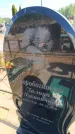 Захоронение ID 6388884