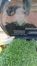 Захоронение ID 6388938