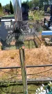 Захоронение ID 6389045
