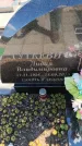 Захоронение ID 6389054