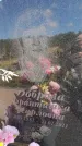 Захоронение ID 6389118