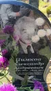 Захоронение ID 6389202
