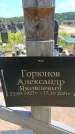 Захоронение ID 6389229