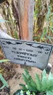 Захоронение ID 6389676