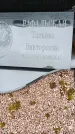 Захоронение ID 6389770