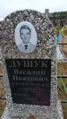 Захоронение ID 6389800