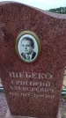 Захоронение ID 6389806