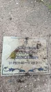 Захоронение ID 6389823