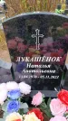Захоронение ID 6389826