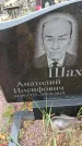 Захоронение ID 6389902