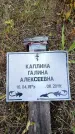 Захоронение ID 6389918