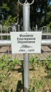 Захоронение ID 6390180