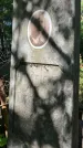 Захоронение ID 6390232