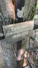 Захоронение ID 6390267