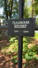 Захоронение ID 6390297