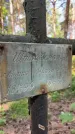 Захоронение ID 6390412