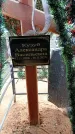 Захоронение ID 6390572