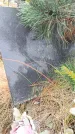 Захоронение ID 6390579