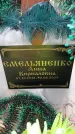 Захоронение ID 6390738