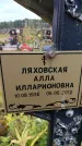 Захоронение ID 6390753