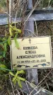 Захоронение ID 6390912