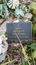 Захоронение ID 6391143