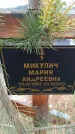 Захоронение ID 6391167