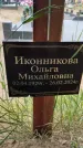 Захоронение ID 6391504