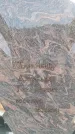Захоронение ID 6391517