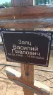 Захоронение ID 6391703