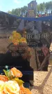 Захоронение ID 6391813
