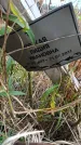 Захоронение ID 6391997