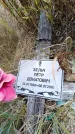 Захоронение ID 6392066