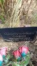 Захоронение ID 6392170
