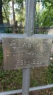 Захоронение ID 6392529