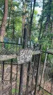 Захоронение ID 6392540