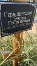 Захоронение ID 6392708