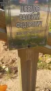 Захоронение ID 6392726